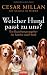 Welcher Hund passt zu uns?: Ein Beziehungsratgeber für Familie und Hund
