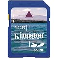 Kingston 1 GB Secure Digital Flash Card ( SD/1GB ) (Retail Package)