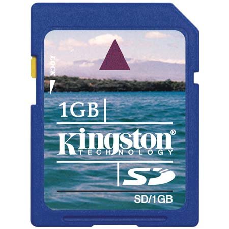 Kingston 1 GB Secure Digital Flash Card ( SD/1GB ) (Retail Package)