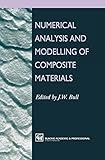 Numerical analysis and modelling of composite materials