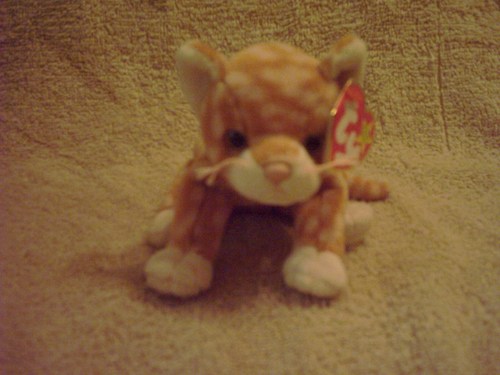 Amazon.com: TY Beanie Baby - AMBER the Gold Tabby Cat