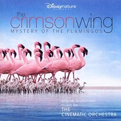 The Crimson Wing-Mystery of the Flamingos