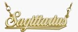 10K Yellow Gold Sagittarius Script Zodiac Pendant Nov 23-De22 with 16 chain