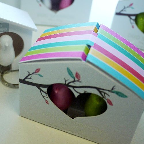 DUO Wood House Sparrow Bird Key Ring + Key Holder + Whistle - Green/Pink Bird