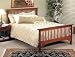 Mission Style Oak Finish Queen Size Bed Headboard and Footboard