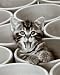 Kitty Cat Art Poster Print by Jean-Michel Labat, 10x12