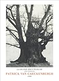 La ruine fructueuse : atlas des idéations