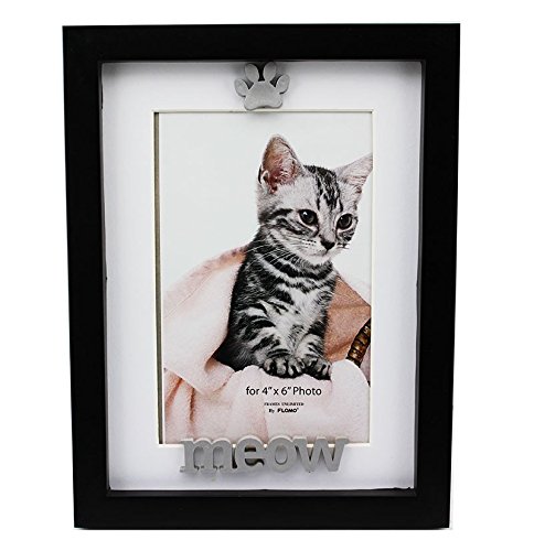 4x6 Black Cat Picture Frame