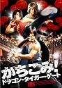 かちこみ!ドラゴン・タイガー・ゲート スタンダード・エディション [DVD]
