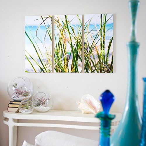 Seagrass Beach Metallic Print on Acrylic with float mount frames.