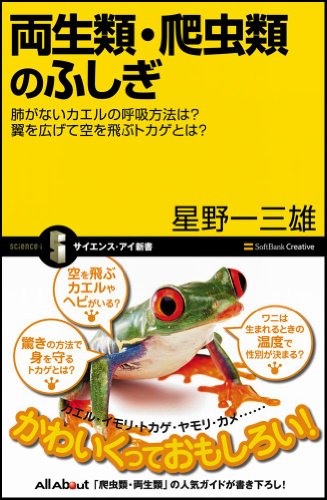 Cover image : 両生類・爬虫類のふしぎ 肺がないカエルの呼吸方法は？ 翼を広げて空を飛ぶトカゲとは？ (サイエンス・アイ新書)