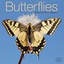 Butterflies  2013 Wall Calendar