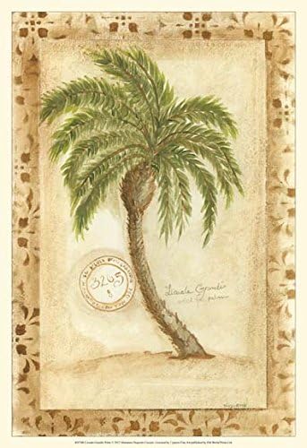 Licuala Grandis Palm. Marianne D. Cuozzo Art Print 19 x 19