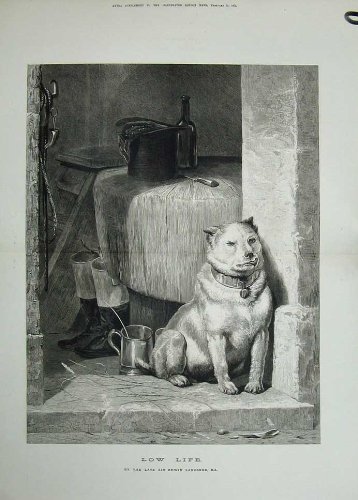 1874 Edwin Landseer Fine Art Puppy Dog Boots Jug Bottle