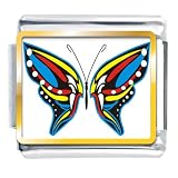 Exotic Blue Yellow & Red Butterfly Pugster Photo Italian Charms