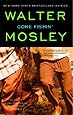 Gone Fishin': Featuring an Original Easy Rawlins Short Story "Smoke" (Easy Rawlins Mysteries (Paperback))