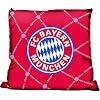 FC Bayern M�nchen 7660-05-9-03 Bayern Kissen Netz