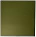 Bazzill BBP-T5-5141E Cardstock Clover Leaf Green 12X12 80Lb Dot Swiss