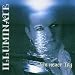 Anklicken zum Vergrößeren: Illuminate - Ein Neuer Tag (Audio CD)