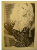 Pam Anderson Lee Rock Poster Pamela Black and White in a Corset