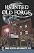 Haunted Old Forge (Haunted America)