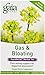 Gaia Herbs Gas & Bloating Herbal Tea, 16 Tea Bags (Pack of 2) - Eliminates Gas, Reduces Bloating & Improves Digestive Function