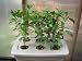 6 Site DWC Bubbler Hydroponic System Kit