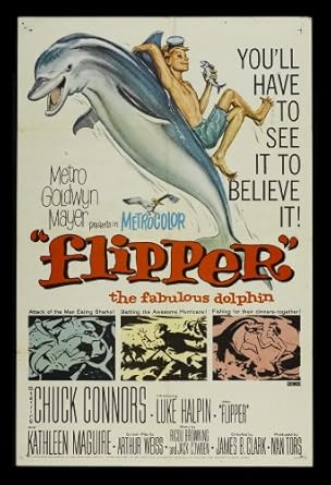 ORIG MOVIE POSTER DOLPHIN