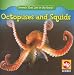 Books : Octopuses and Squids (Animals That Live in the Ocean)