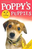 Poppys Dogs Trust Puppies
