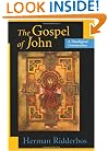 The Gospel of John: A Theological Commentary