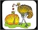 Decorated Mouse Pad with turkey, ostrich, romance, birds, animal