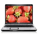 HP Pavilion dv9330us 17" Entertainment Laptop (Intel Core 2 Duo Processor T5300, 2 GB RAM, 160 GB Hard Drive, SuperMulti DVD Drive, Vista Premium)