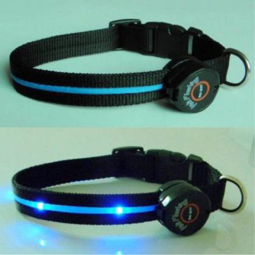 Multi-Function Dog Collar with Blue LED Lights – Large