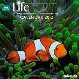 BBC Life Meet the Planet Calendar 2012