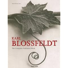 Karl Blossfeldt: 25th Anniversary Edition