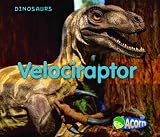 Velociraptor (Dinosaurs)