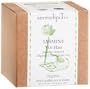 SerendipiTea Yin Hao Jasmine Scented Organic China Green Tea, 4-Ounce Boxes (Pack of 2)