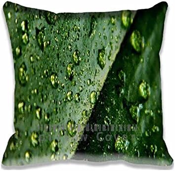 Pillow Cases Leaf And Water Drops Unique Designs , Fashion Aero Style Pillowcase Covers , Personalized Diy Cushion Cover for Home Office and Car