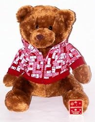 Large Brown Teddy Bear in Hooded Jacket 13"