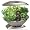 AeroGarden Classic 7-Pod with Gourmet Herb Seed Kit, Silver