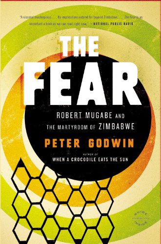 The Fear: Robert Mugabe and the Martyrdom of Zimbabwe [Paperback]