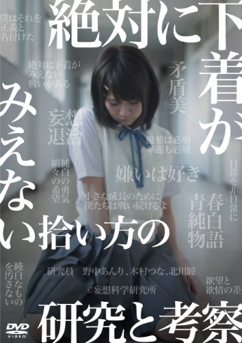 絶対に下着がみえない拾い方の研究と考察 [DVD]