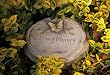 In Loving Memory Memory Box