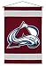Sporting Goods : COLORADO AVALANCHE OFFICIAL TEAM JERSEY WALL BANNER