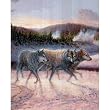(16x20) Wolf Pack in Snow (Wildlife) Art Print Poster