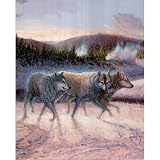 (16x20) Wolf Pack in Snow (Wildlife) Art Print Poster