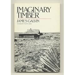 Imaginary timber: Poems