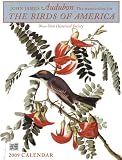 The Birds of America 2009 Calendar