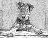 Airedale Terrier Dog 8x10 Art Print Drawing Signed Laroux